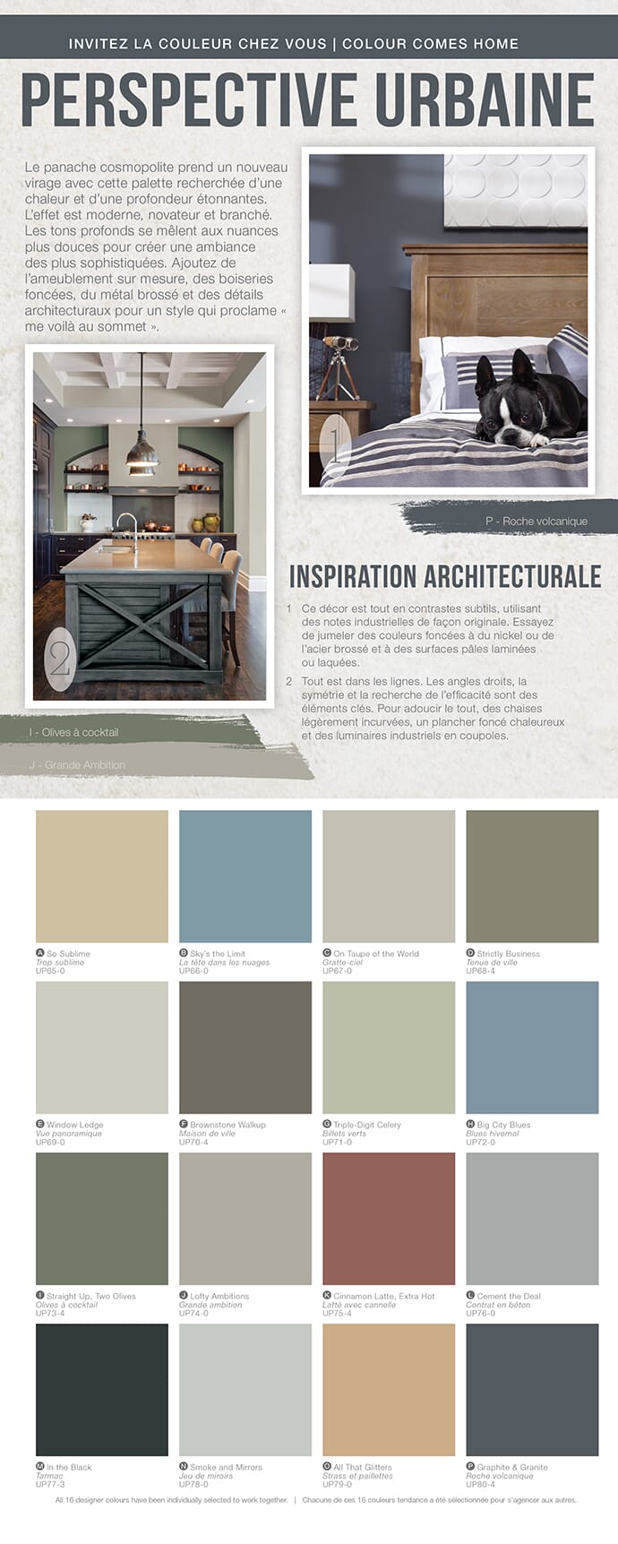 urban_perspective_fr