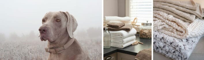 perfect_neutrals_main