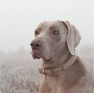 Les couleurs neutres parfaites