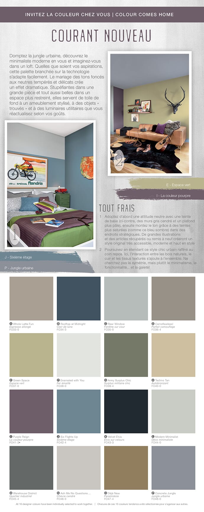 Fresh outlook french