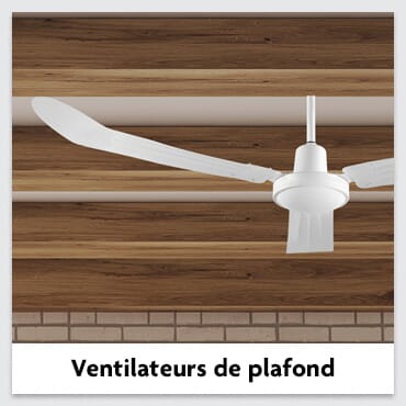 Ventilateurs de plafond