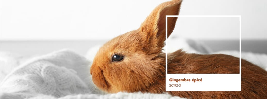 avril la couleur du mois