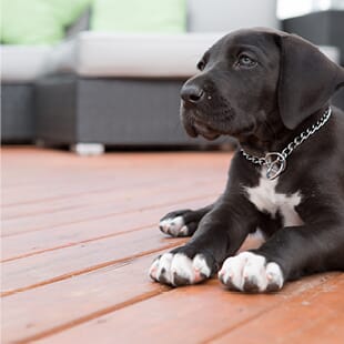 toc-beauti-tone-exterior-staining