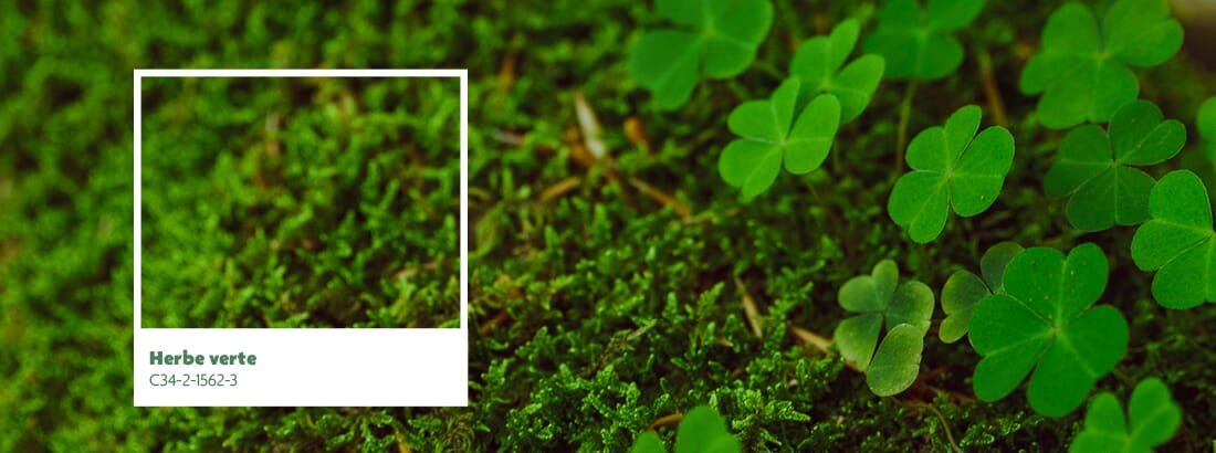 La couleur du mois - mars 