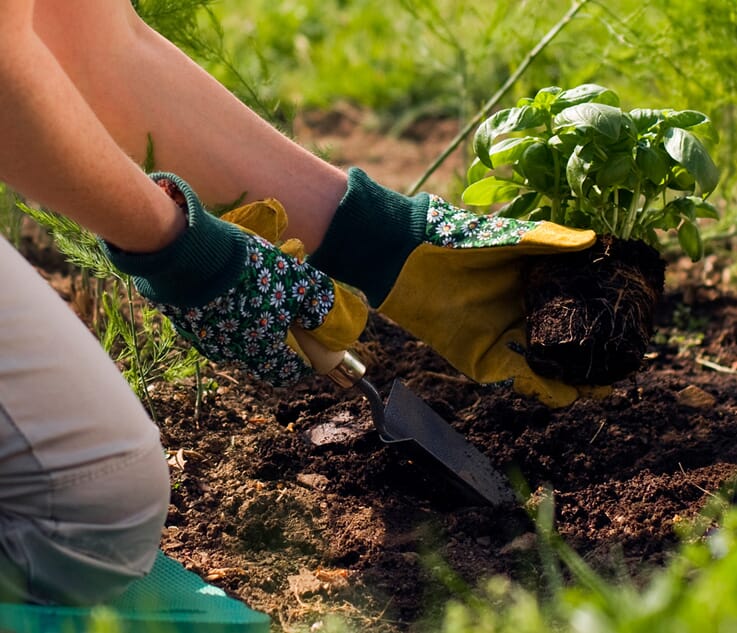 Pelouse et Jardinerie